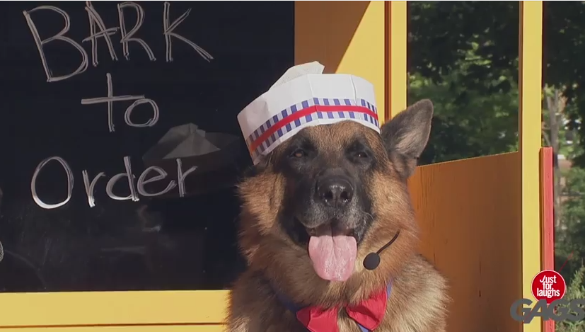 This Food Stall Is One Of A Kind; You Have To Bark To Order!