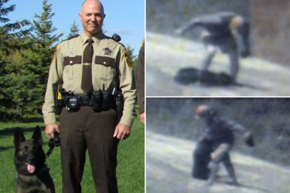 Minnesota Deputy/Animal Abuser Caught on Tape Beating K9 Officer