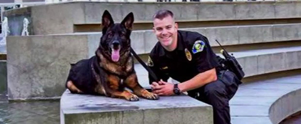 This K9 Officer Took A Bullet To The Face But Will Have A Happy Ending After All