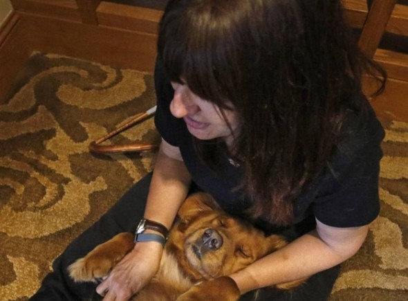 Massage Therapy for Service/Therapy Dogs Helps