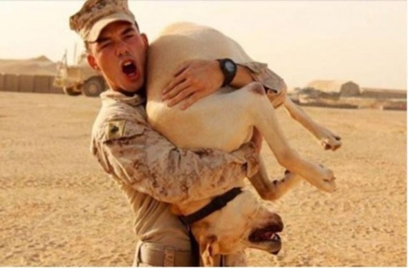 Answered Prayers for Marine Reunited With Service Dog