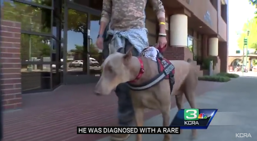 This Dying Veteran’s Last Wish Is To Find A Loving Home For His Service Dog