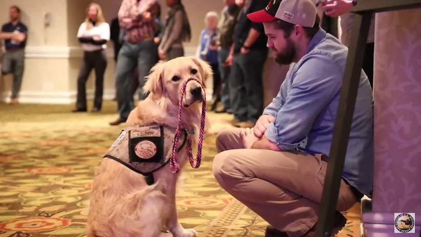 He Served His Country. Now Watch The Incredible Way His Dog Is Serving Him.