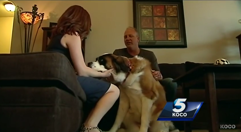 This Dog Whined All Night…Because She Was Trying To Save Her Family