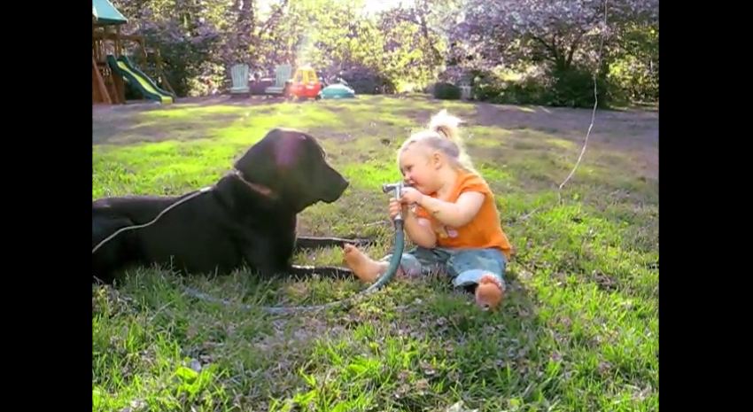 This Little Girl’s Reaction To Hosing Down Her Dog Is The Funniest Thing Ever