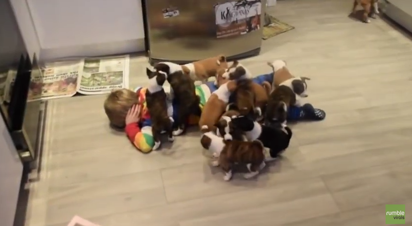 When He Gets On The Kitchen Floor, The Best Thing In The Whole World Happens