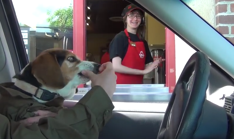 When This Dog Goes Through The Drive-Thru, He Charms Everyone