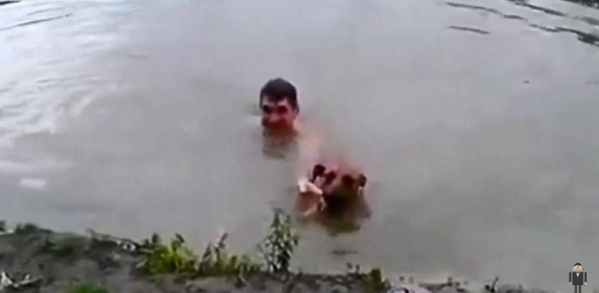 Loyal Dog Saves “Drowning” Owner