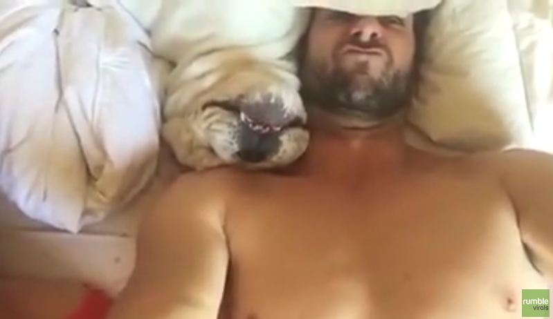 His Dog Hates Getting Up Early, So He Recorded What Happens Every Morning