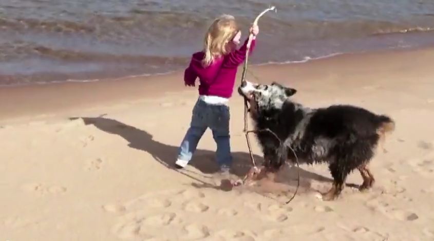 These Pups Are Having Just About The Greatest Beach Day Of All Time