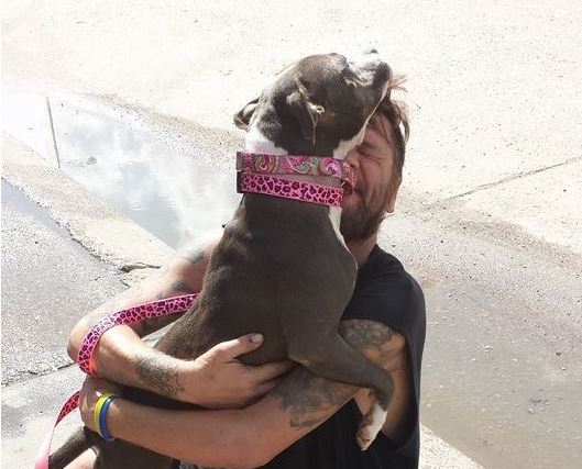 Pit Bull’s Reaction To Reuniting With Her Hospitalized Owner Will Melt Your Heart!
