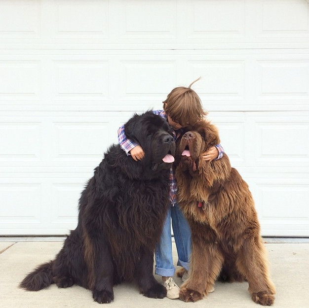 This Boy Has The Most Awesome Best Friend Group You’ll Ever See