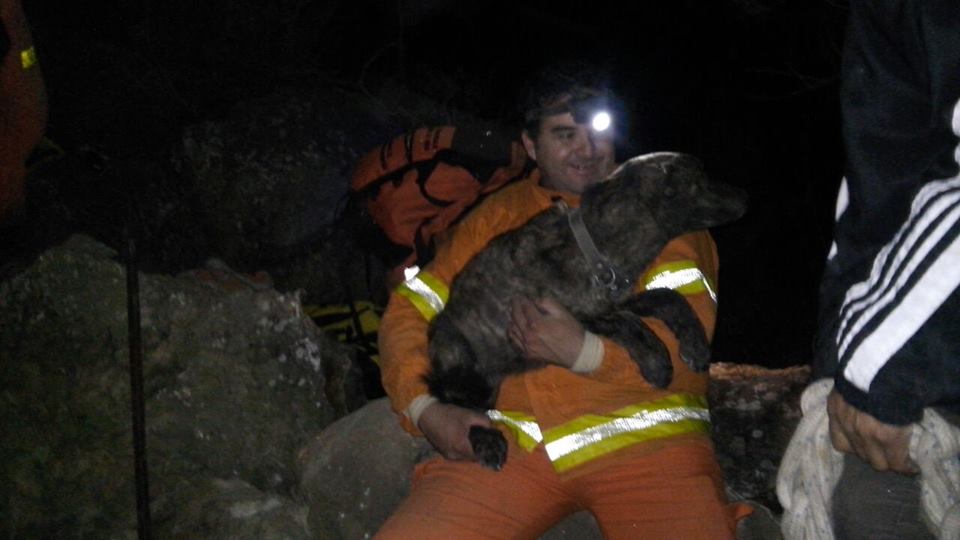 Firefighters Rescue Dog Trapped 5 Days in Between Boulders