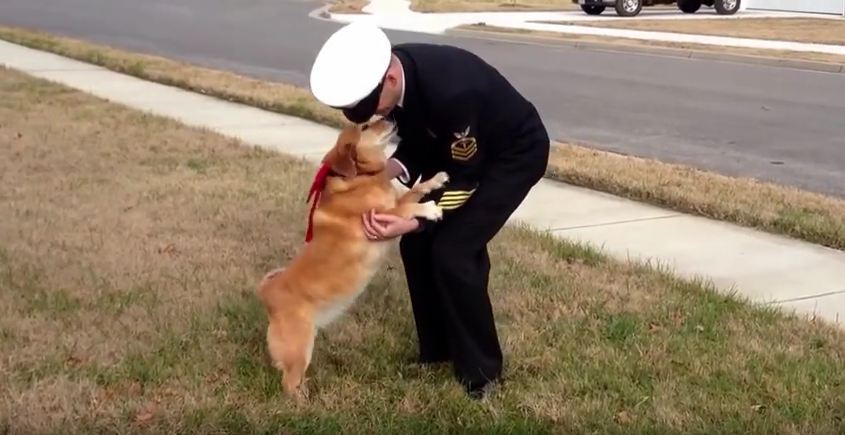 Dog Defies Cancer To See Her Owner Again