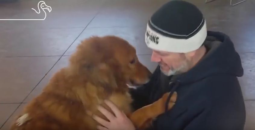 Reunited & It Feels So Good: Heartwarming Reunions Of Dogs Who Found Their Way Home!