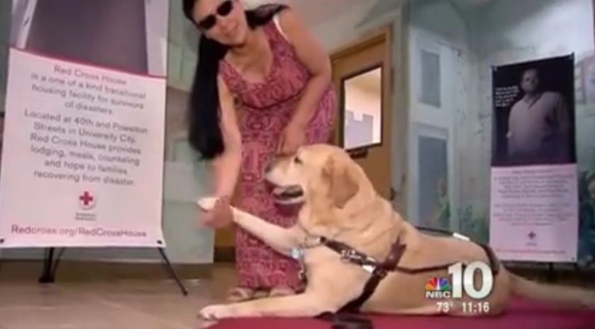 This Blind Woman Is Alive Thanks To Her Service Dog Doing The Most AMAZING Thing