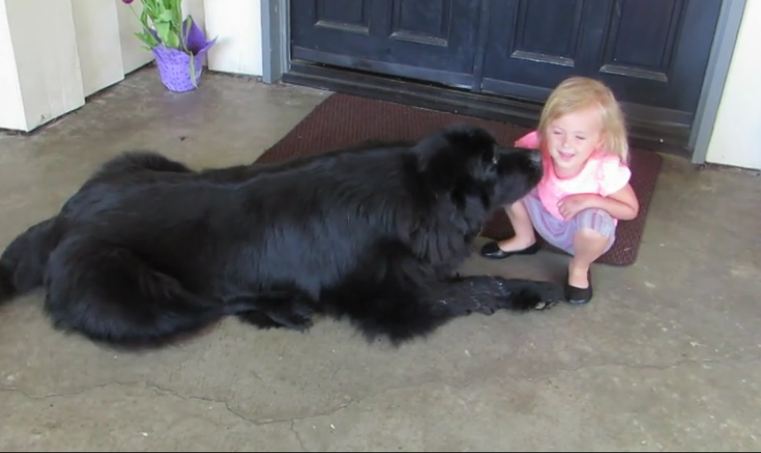 Little Girl Can Speak To Dogs