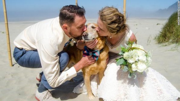 Couple Give Special Role in Wedding to Terminally Ill Dog