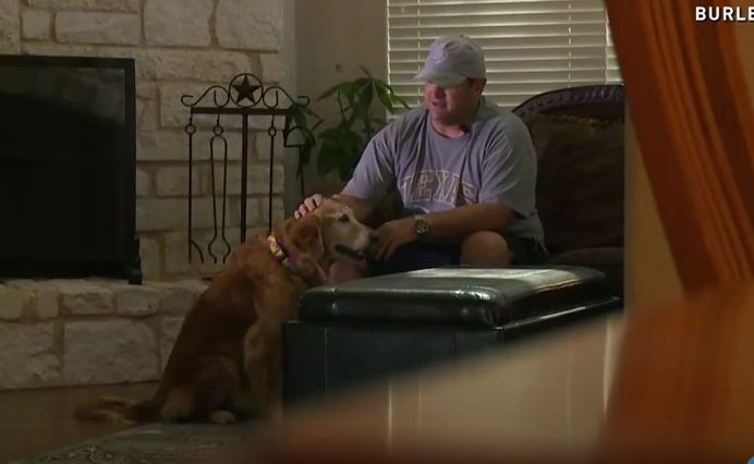 They Gave Away Their Therapy Puppy To A Better Home 10 Years Ago. Then They Get A Call From A Shelter That Blew Their Mind.