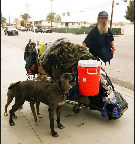 Three Dogs and Their Homeless Owner Hope for a Better Day