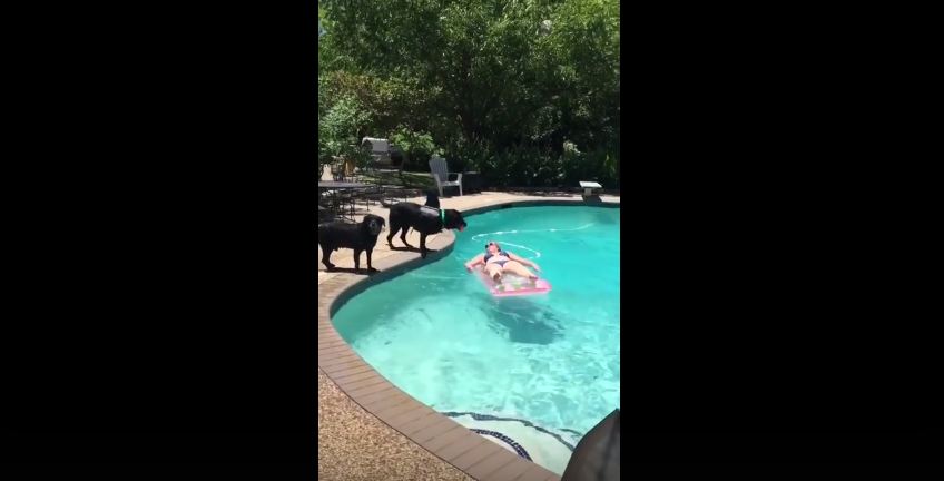 This ‘Shark’ Attack Is Sure To Leave You In Stitches…Shows Her!