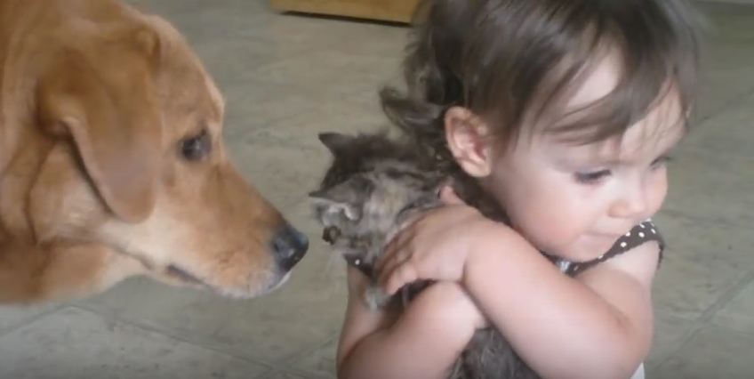 She Loves Her New Kitten So Much, She’s Not Letting Anyone Touch Him…EVER