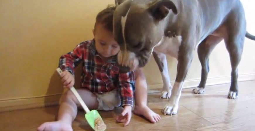 Baby gives dog peanut butter