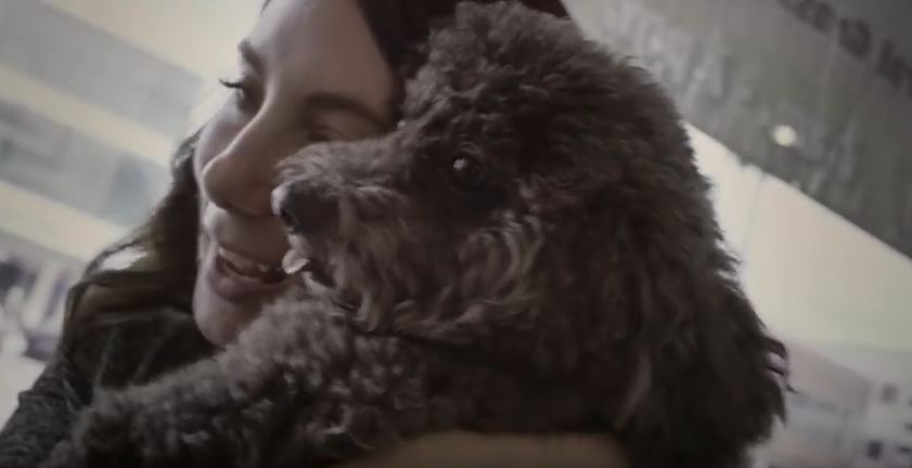 This Video Shows Exactly What It’s Like To Fall In Love With A Dog