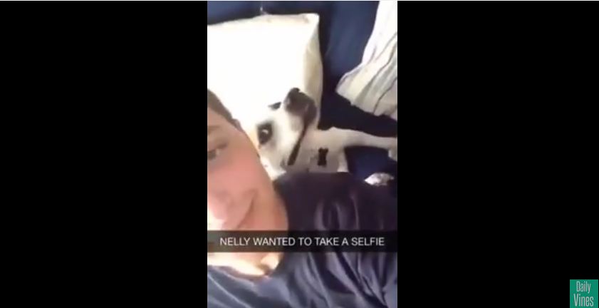 This Dog Taking A Selfie With His Human Is Just Hilarious!