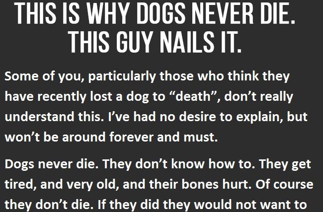 This Is Why Dogs Never Die.