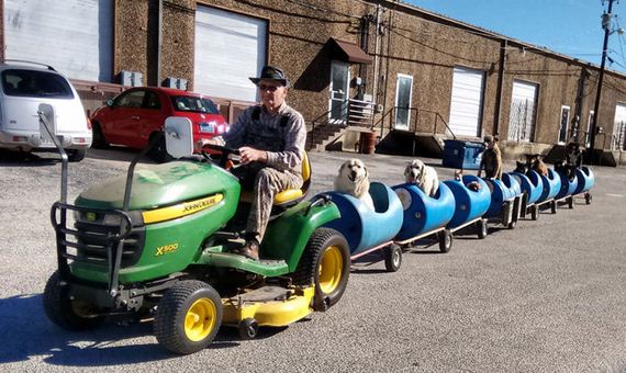 This 80 Year Old Man Built A Special Train So He Could Take Rescue Dogs For Rides