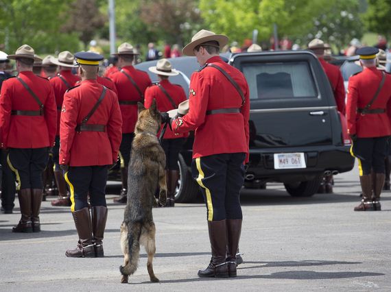 Canine Partner of Slain Mountie Cries at Funeral