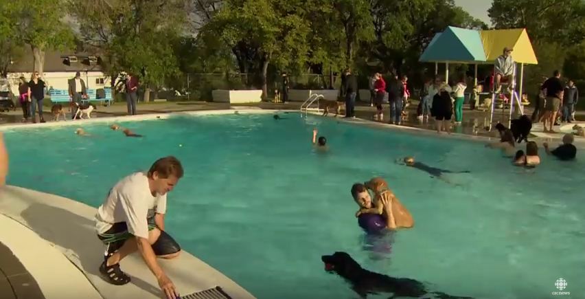 Before This Pool Gets Drained At The End Of Summer, Something Adorable Happens