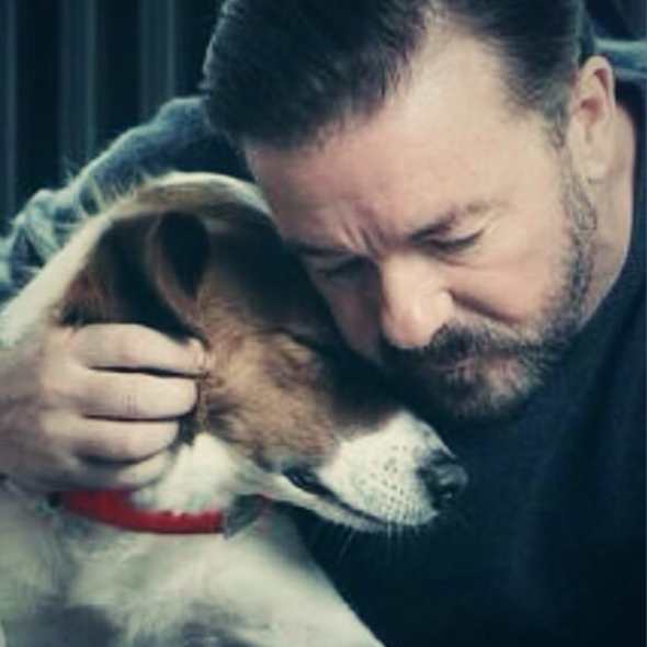 Ricky Gervais Urges Fans to Help Stop Chinese Dog Meat Festival