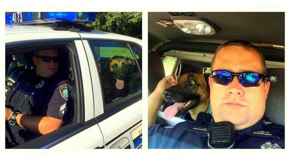 Police Officer Assists Dog After Car Accident