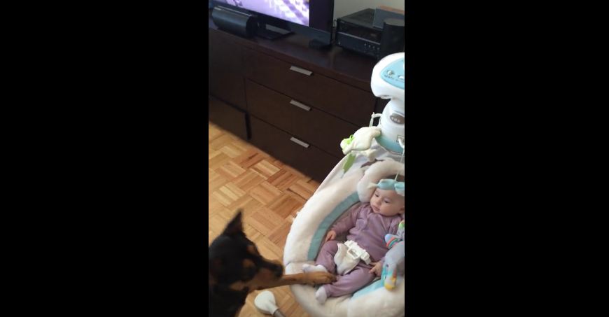Mom Heard Baby Crying Then She Stopped. When She Looked At Why – She Saw This.