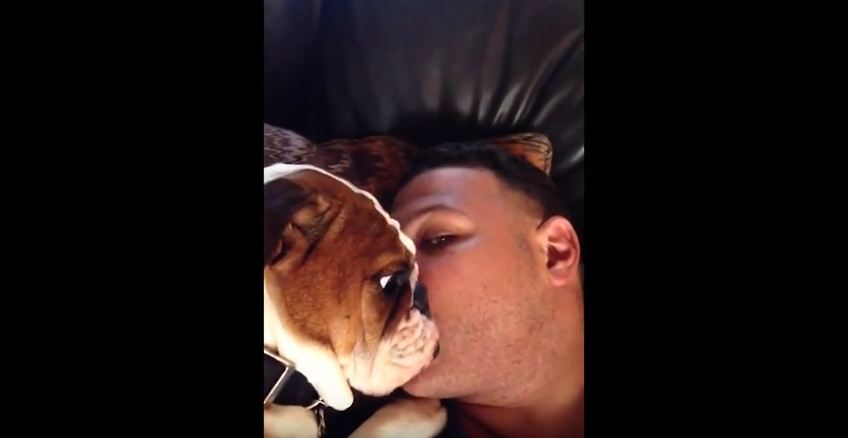 Dog Just Can’t Get Enough Kisses from His Human