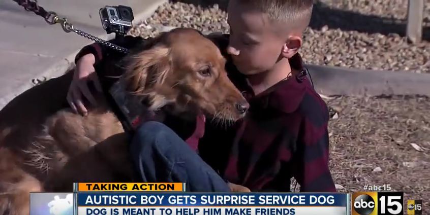 This Boy Had No Friends Until Kind Strangers Got Him One He So Desperately Needed