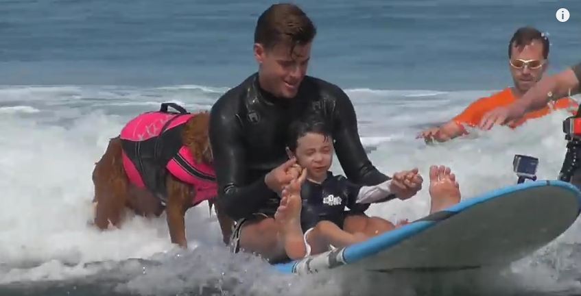 This Dog Helps Kids With Disabilities Enjoy The Ocean For The First Time Ever