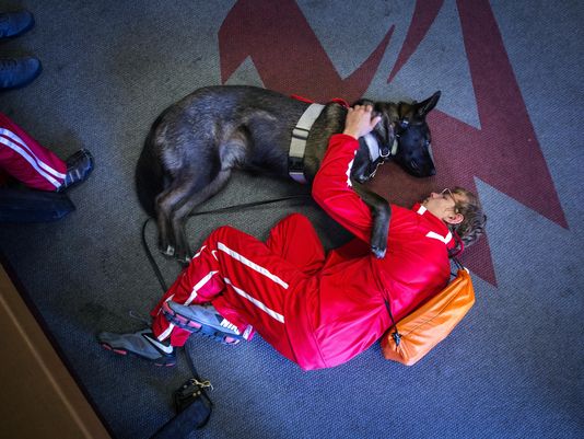 Autistic Boy and His Dog are Special Cross Country Race Team