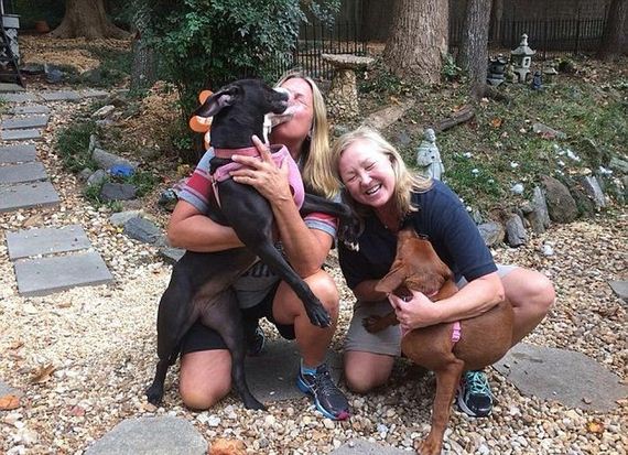 Hugging Dogs Find A New Home Thanks To The Internet