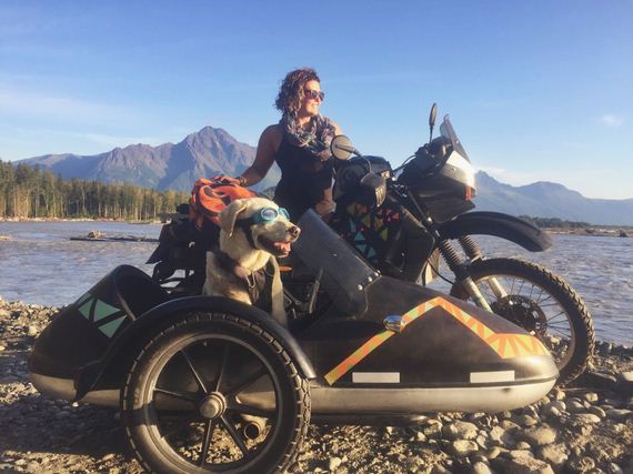 Senior Dog Travels North America In A Sidecar And Loves Every Single Minute