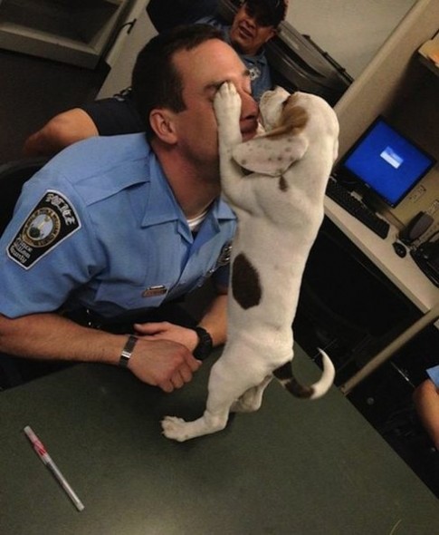 Police Officers Stop Abuse to Puppy & Adopt Her
