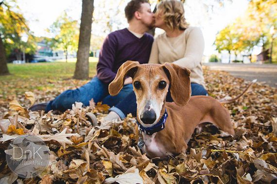 Couple’s Engagement Pictures Get Photobombed By A Wiener Dog