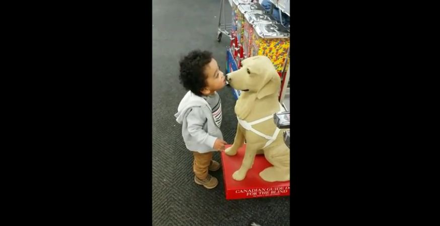 Toddler confuses dog statue for actual dog