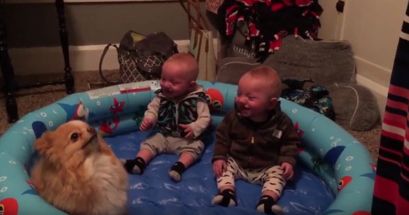 There Is Nothing In The World These Boys Love More Than Hanging Out With Their Dog