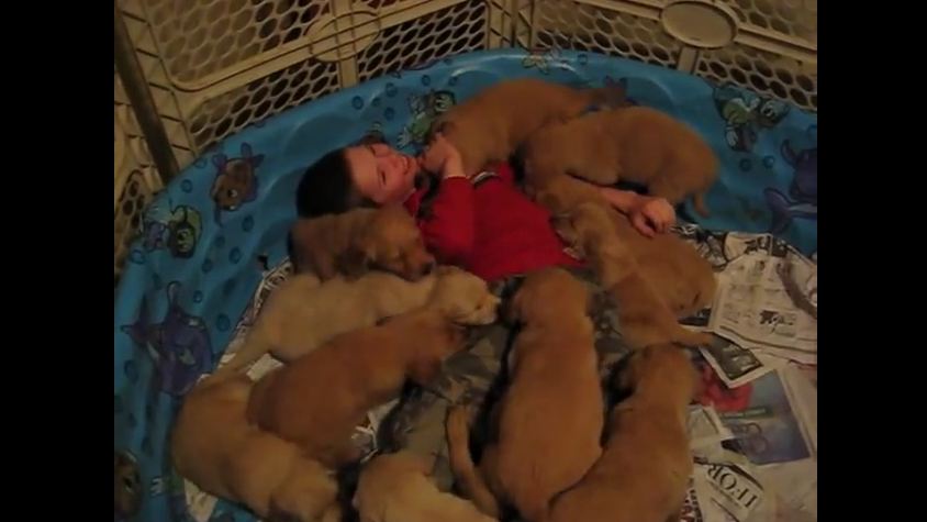 Young Boy Thinks He’s Dreaming When He Gets Smothered By 14 Puppies!