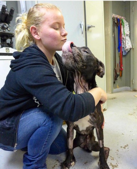 PAWS Atlanta Helps Starved Surrendered Dog