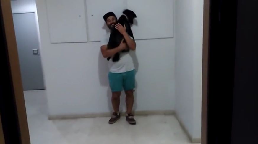 Dog jumps high to give hugs