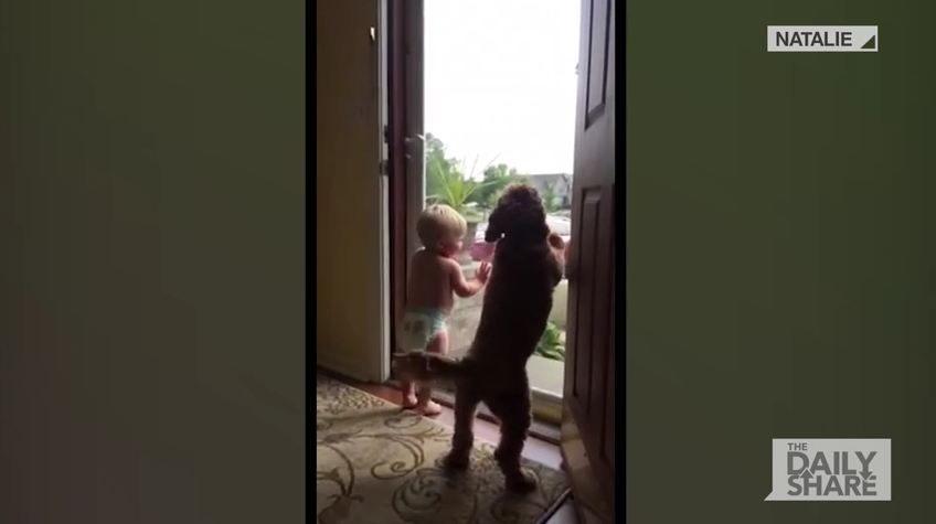 Baby And Dog Welcomes Daddy Home In The Most Adorable Way